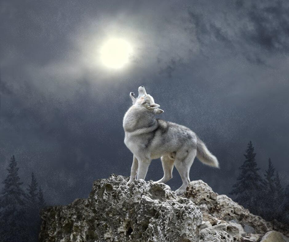 Full Wolf Moon Ritual